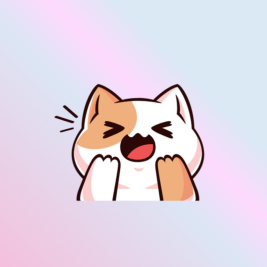 excited cat wig background blog post