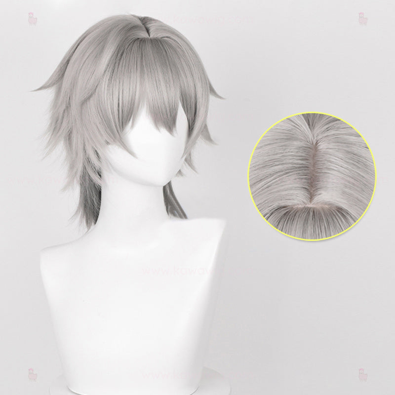 Special Recipes Collection - Main Story Fighters Grey Wig