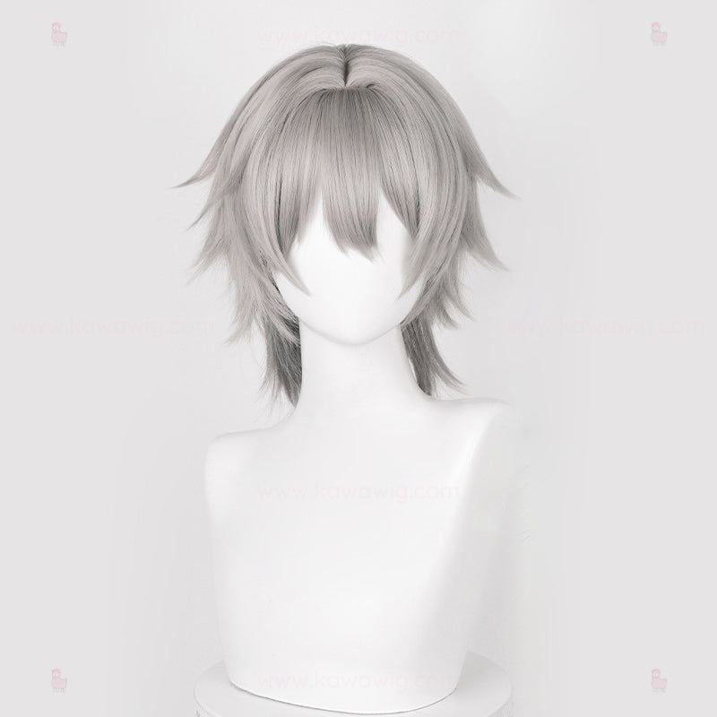 Special Recipes Collection - Main Story Fighters Grey Wig