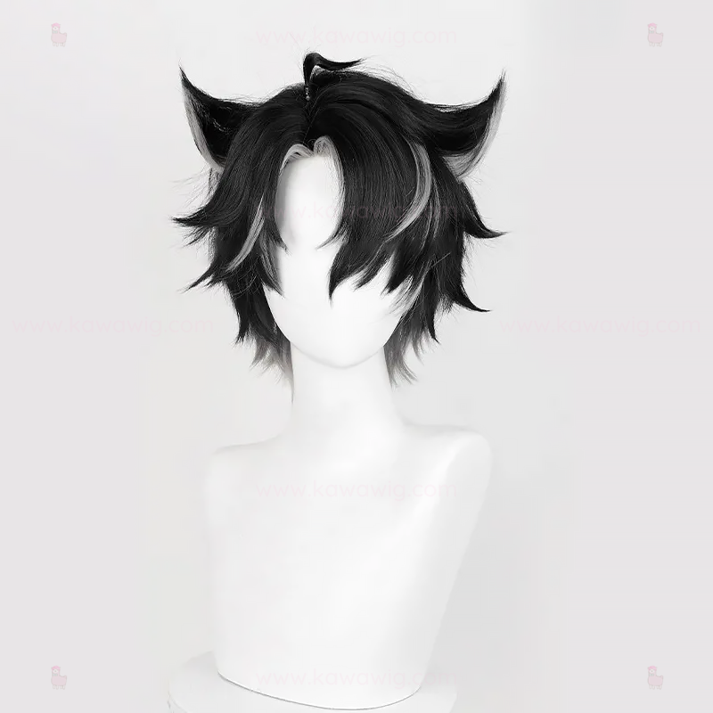 Double Trouble Collection - Cyro Administrator Ruler Black Wig