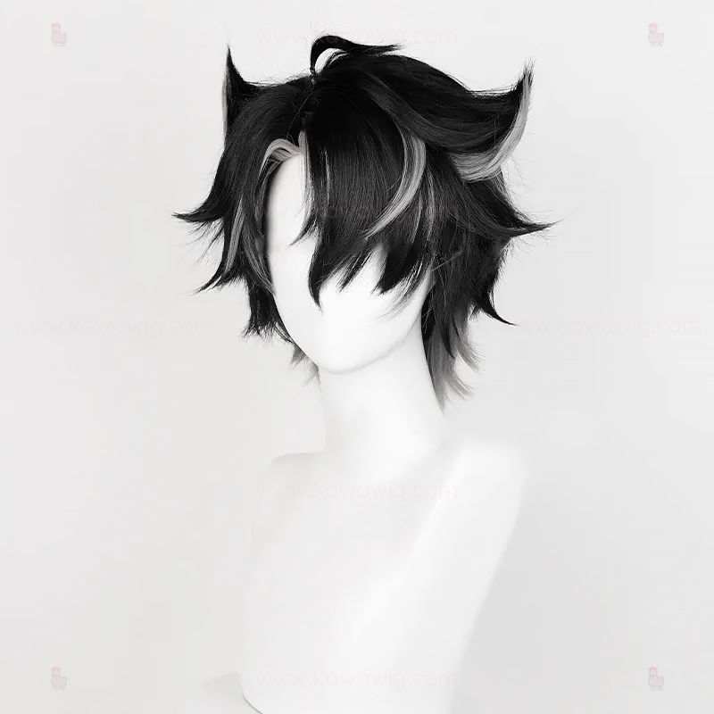 Double Trouble Collection - Cyro Administrator Ruler Black Wig