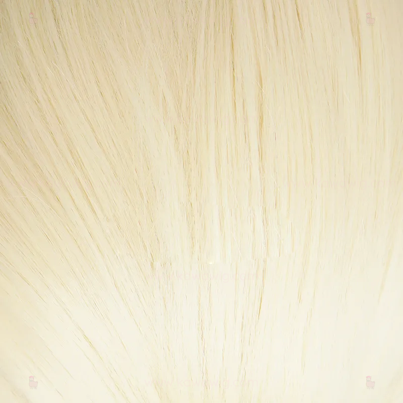 Special Recipes Collection - Winter Sisters Free Queen Wig