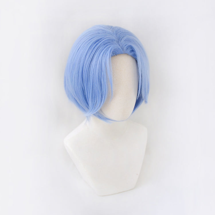 Spicy Short Collection - Blue S Skateboard Snow Wig