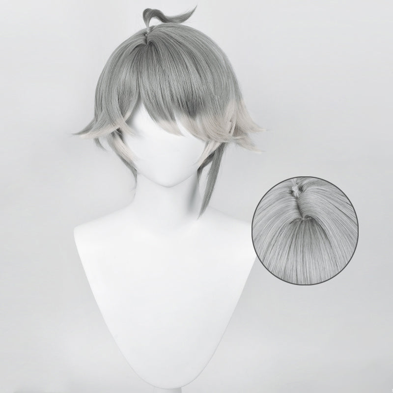 Double Trouble Collection - The Academy Scribe Grey Wig