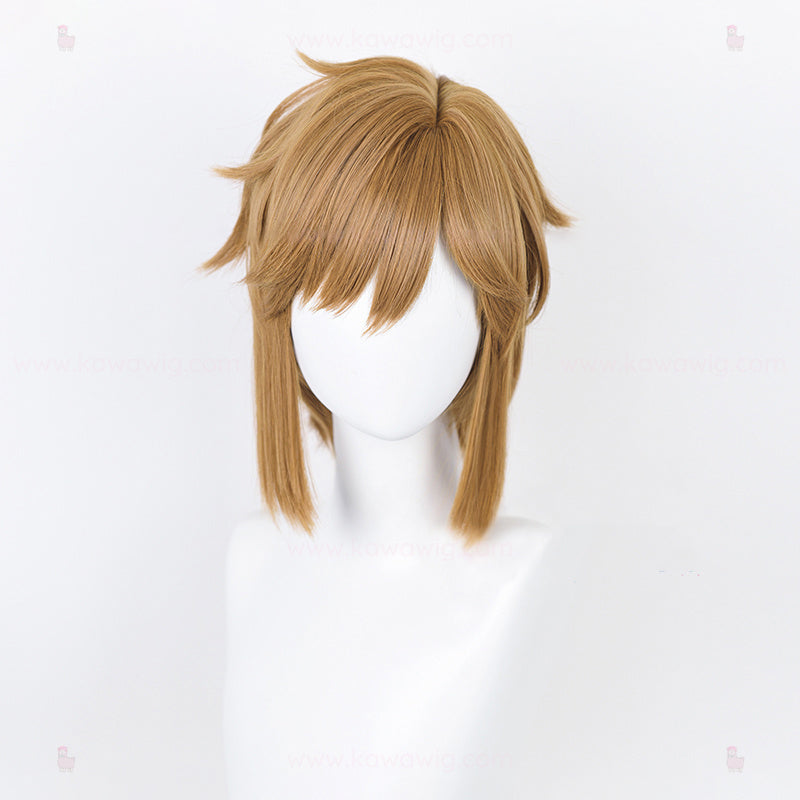Special Recipes Collection - The Traveller Link Wig
