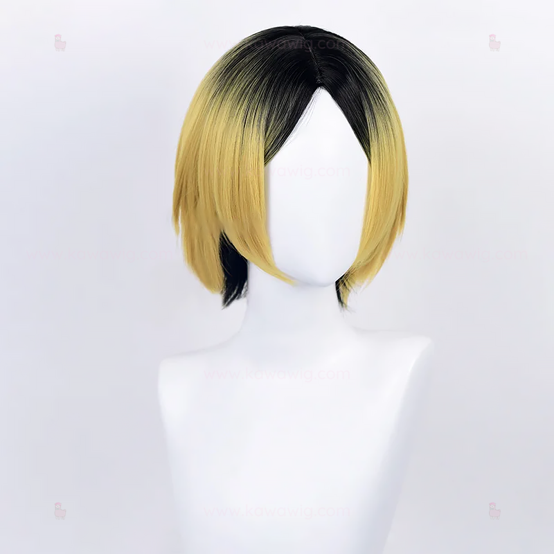 Double Trouble Collection - Heart & Brain Team Player Ombre Wig