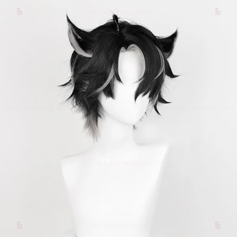 Double Trouble Collection - Cyro Administrator Ruler Black Wig