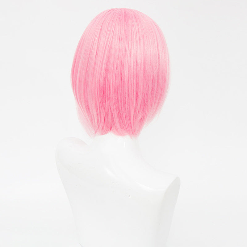 Spicy Short Collection - Double Maid Pink & Blue Wig