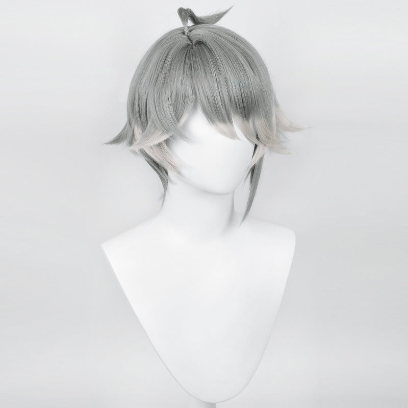 Double Trouble Collection - The Academy Scribe Grey Wig